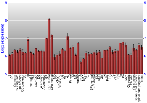 Expression graph