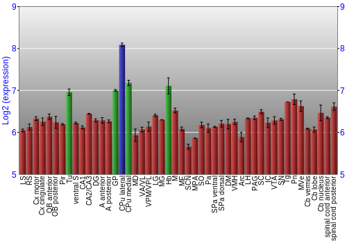 Multi-state expression graph