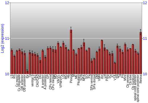 Expression graph