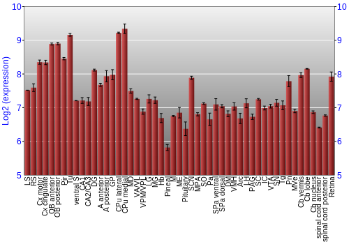 Expression graph