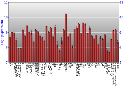 Expression graph