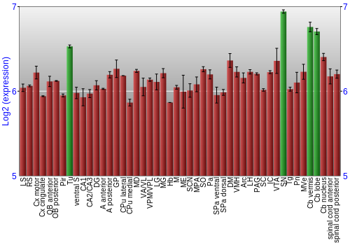 Multi-state expression graph