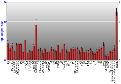 Expression graph