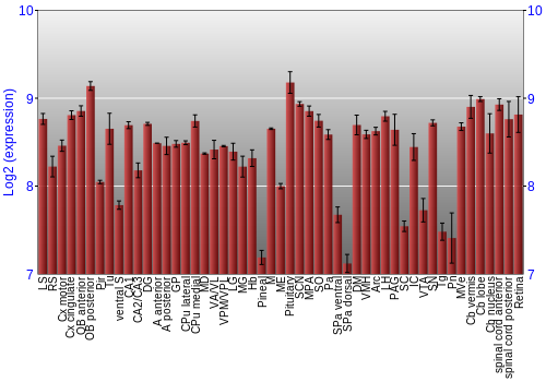 Expression graph