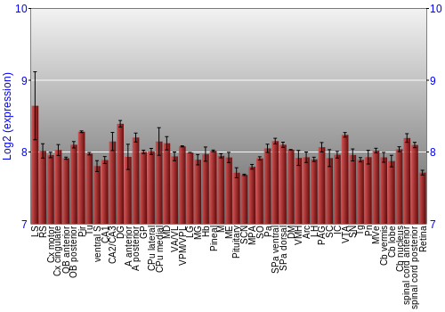 Expression graph