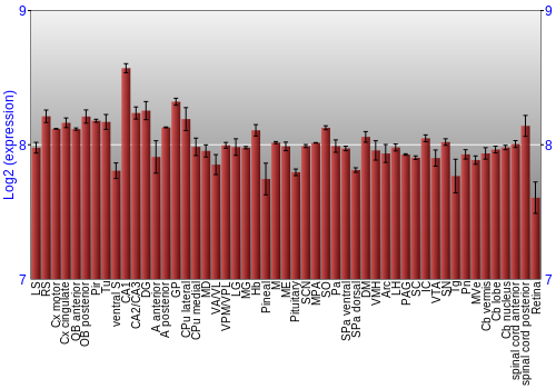 Expression graph