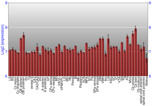 Expression graph