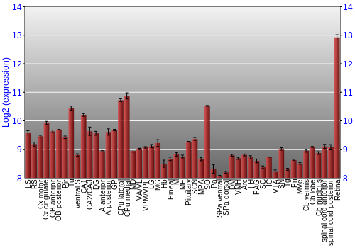 Expression graph
