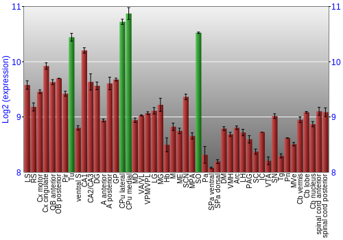 Multi-state expression graph
