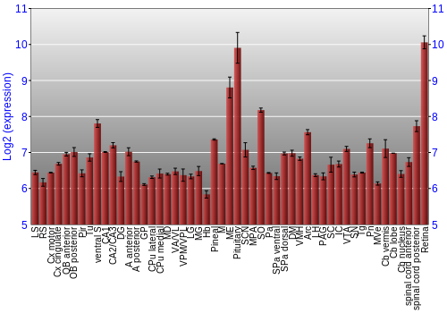 Expression graph
