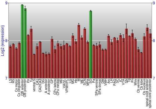 Multi-state expression graph