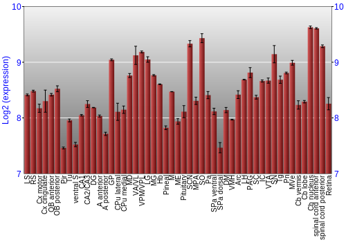 Expression graph