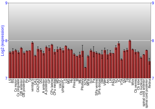 Expression graph