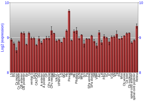 Expression graph