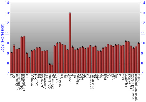 Expression graph