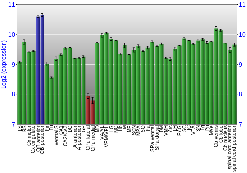Multi-state expression graph