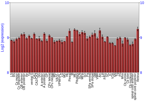 Expression graph