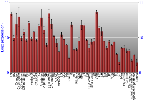 Expression graph