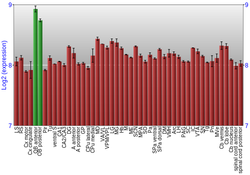Multi-state expression graph