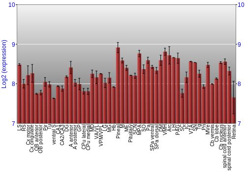 Expression graph