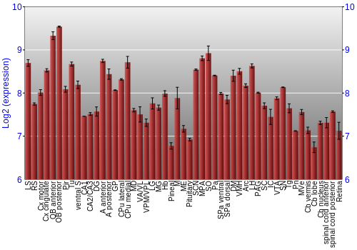 Expression graph
