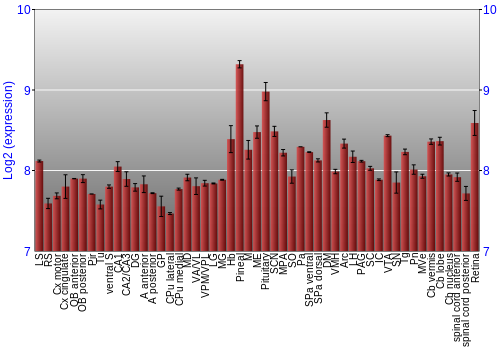Expression graph