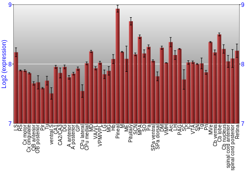 Expression graph