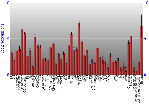 Expression graph