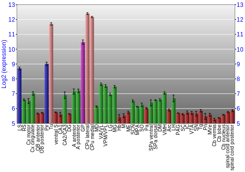 Multi-state expression graph