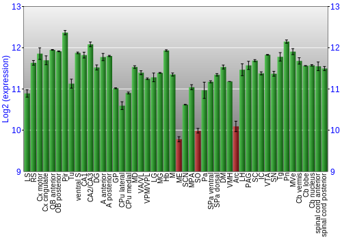 Multi-state expression graph