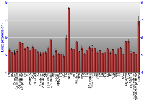 Expression graph
