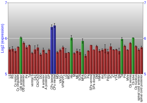 Multi-state expression graph