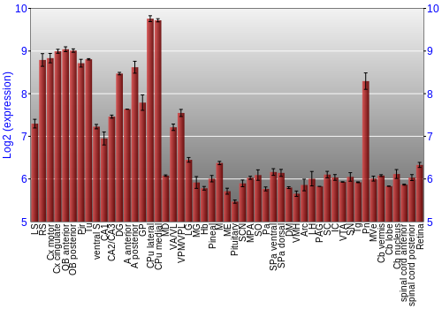 Expression graph