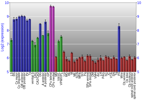 Multi-state expression graph