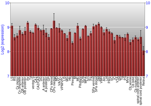 Expression graph