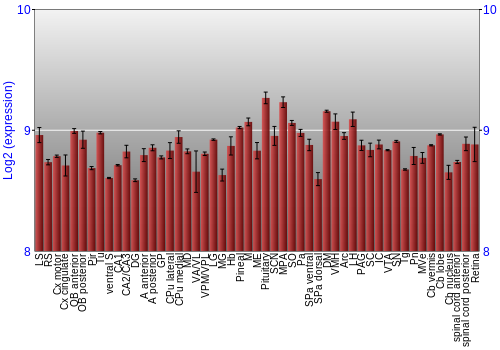 Expression graph