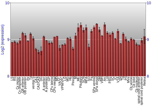 Expression graph