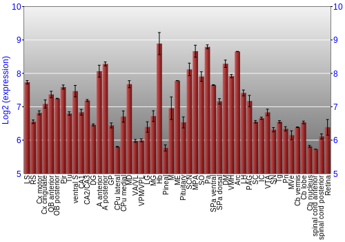 Expression graph