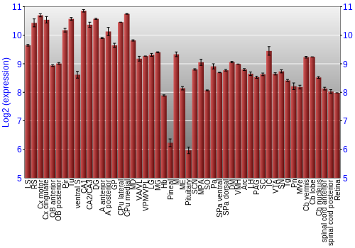 Expression graph