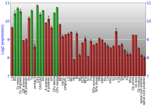 Multi-state expression graph