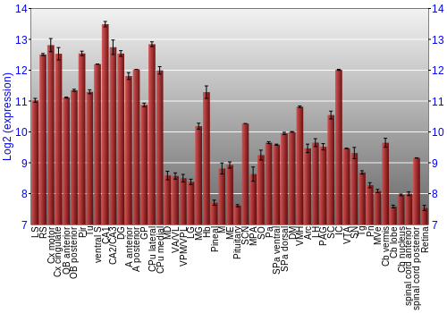 Expression graph