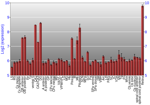 Expression graph