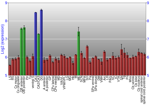 Multi-state expression graph