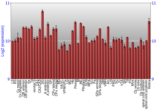 Expression graph