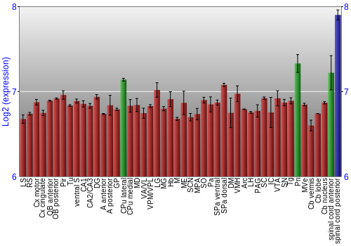 Multi-state expression graph