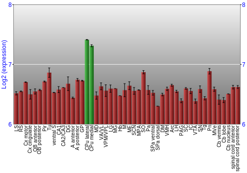 Multi-state expression graph