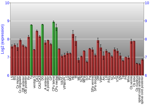 Multi-state expression graph