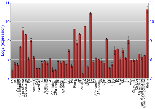 Expression graph