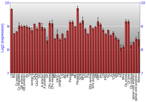 Expression graph