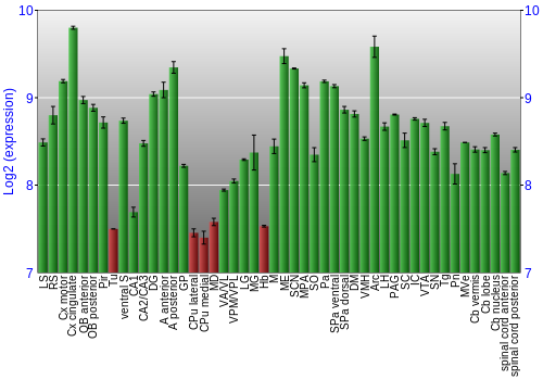 Multi-state expression graph
